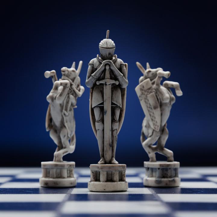 Image du produit Particula GoChess Wizard Mini Harry Potter