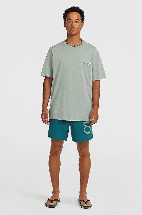 Actual product image O'Neill Cali 16" Swimshorts (L)