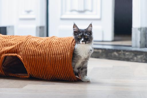Produktbild Designed by Lotte Katzentunnel Ribbed (Katzentunnel)