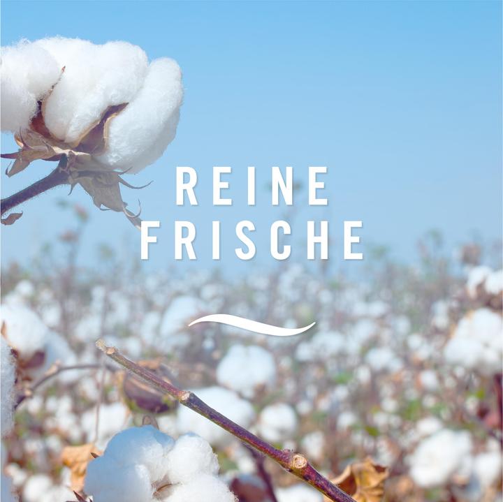 Image du produit Febreze Reine Frische