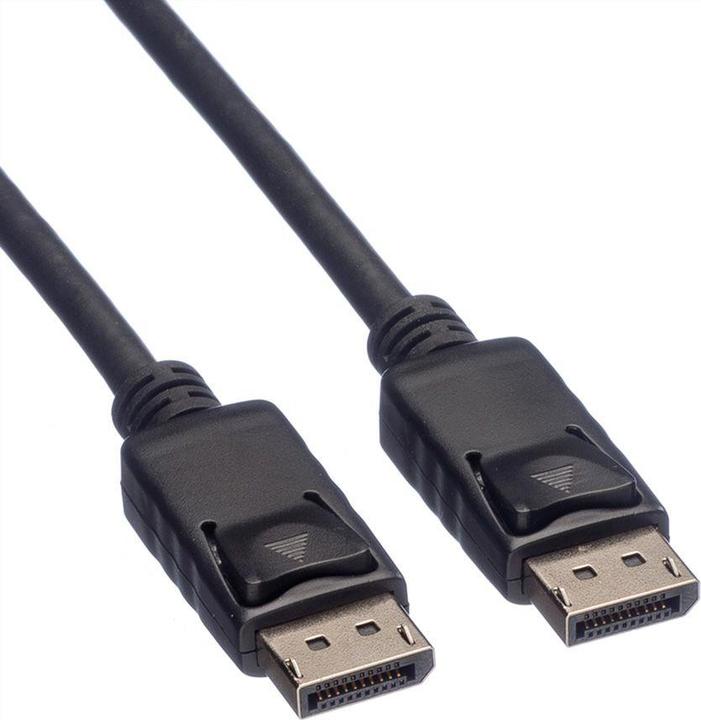 Image du produit Roline Câble DisplayPort - DisplayPort (M) vers DisplayPort (M) (1.50 m)