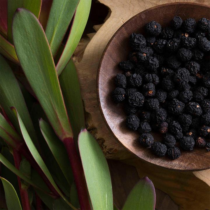 Produktbild Korres Bergpfeffer Eau De Toilette & Duschgel