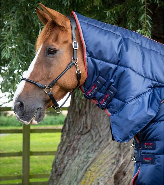 Image du produit Premier Equine 400 g (183 cm)