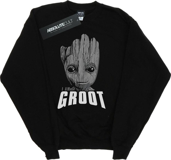 Image du produit - Sweat GUARDIANS OF THE GALAXY GROOT FACE - Garçon (128)