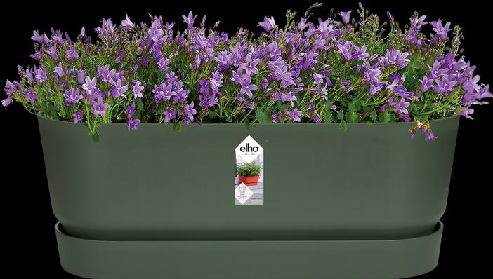 Actual product image Elho Greenville (20 cm)