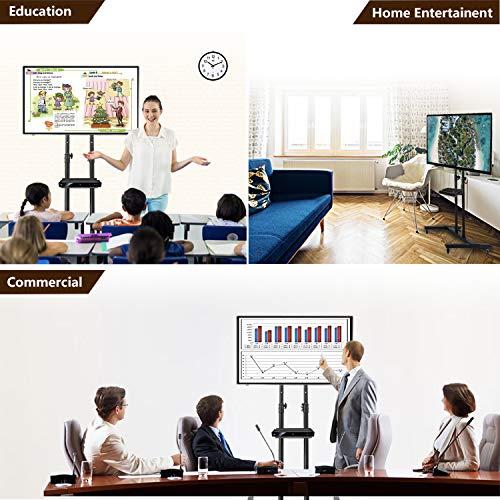 Actual product image River Systems Universal TV Stand (75", 50 kg)