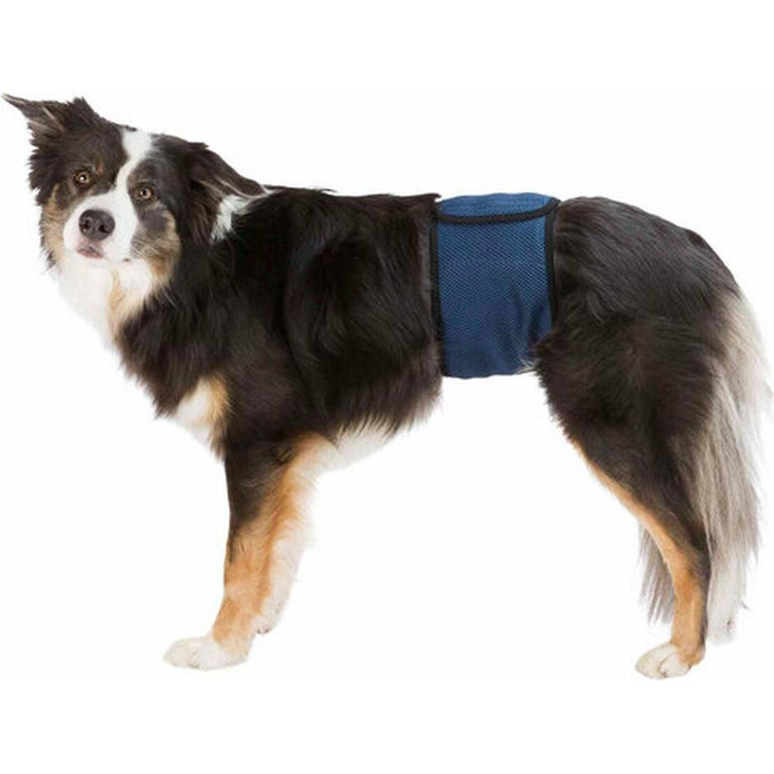 Meilleurs prix pour Trixie Bandeau pour mâle S-M 37-45cm (S, M), Vêtements pour chien