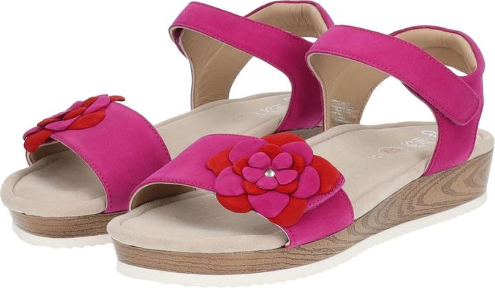 Immagine prodotto Ara 3624325 (39)