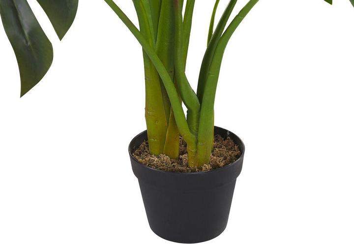 Immagine prodotto Beliani Monstera Plant (113 cm)