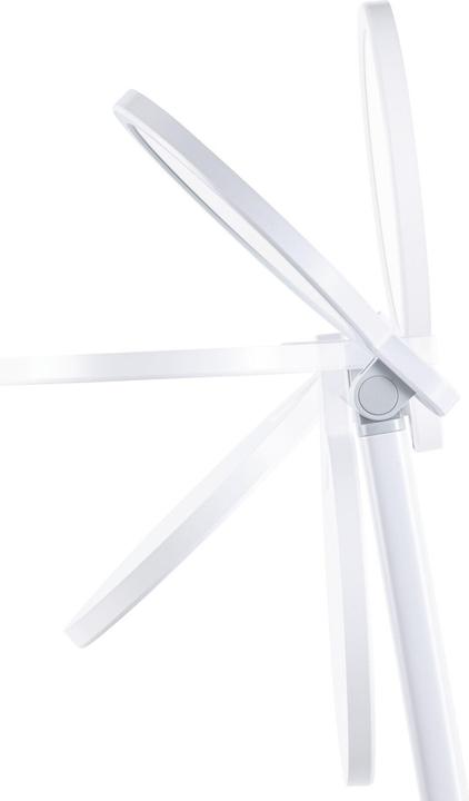 Image du produit Paulmann Schreibtischleuchte Darba (1150 lm)