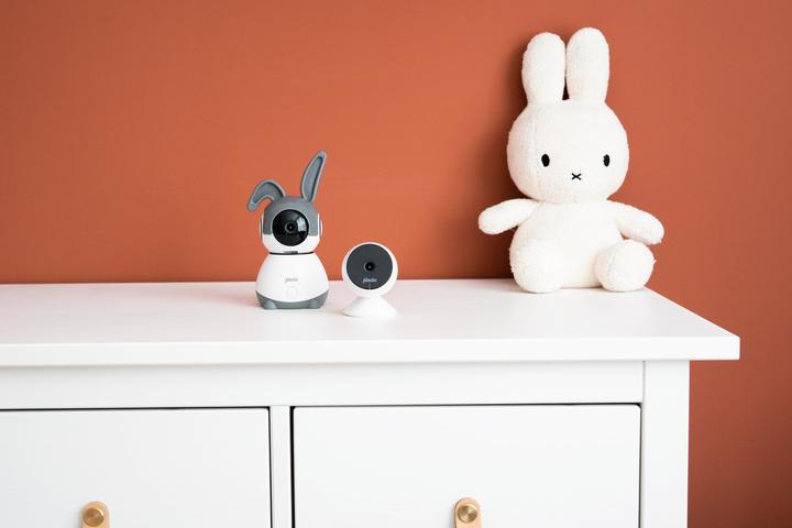 Actual product image Alecto Baby monitors (Video & Audio)