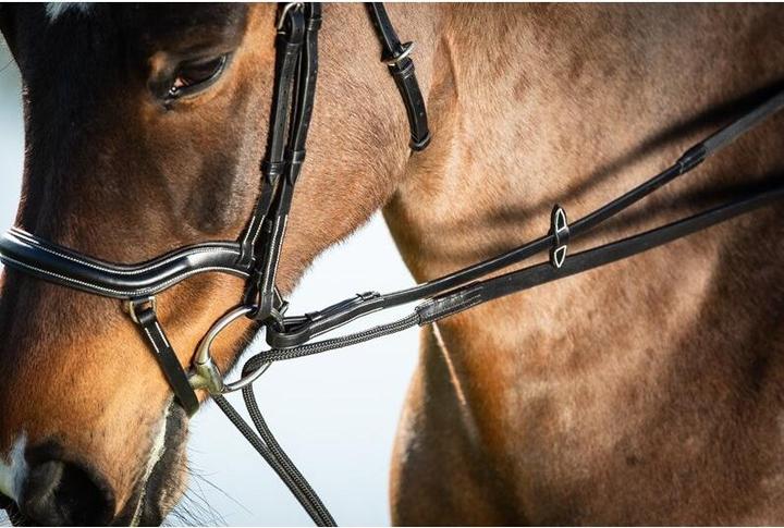 Produktbild HFI Master Zügel