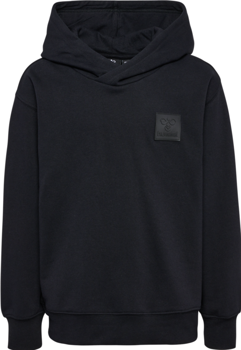 Image du produit hummel hmlCLEAN HOODIE (122)