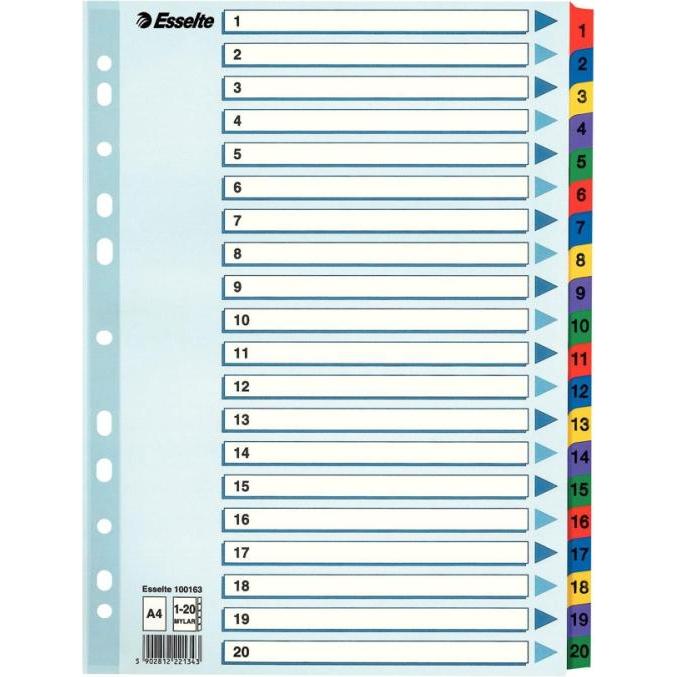 Esselte, Ordner Zubehör, Register Mylar A4 1-20 Multi C