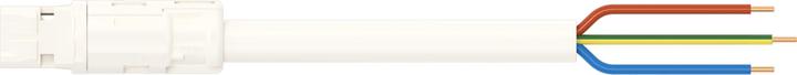 Actual product image Wago confect. Connection cable (6 m)