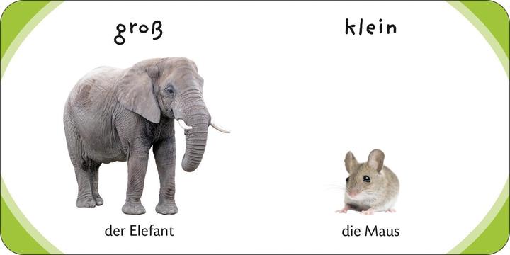 Immagine prodotto Kennst du das? Meine kleine Lernwelt (Tedesco, 2017)