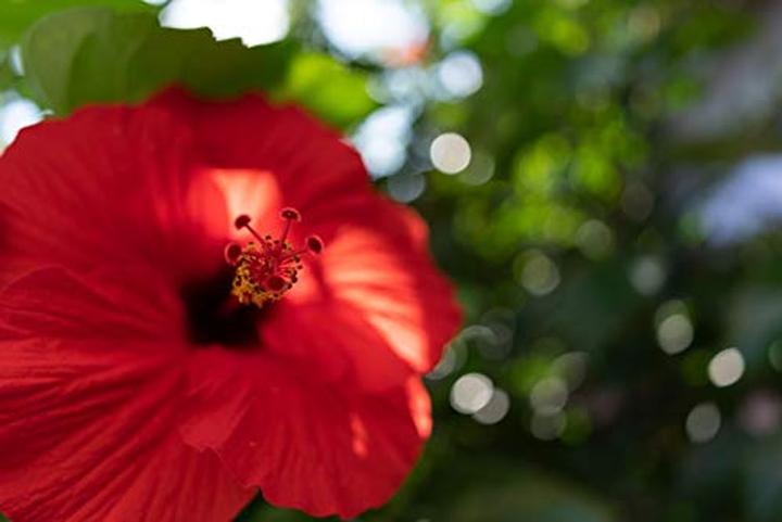 Immagine prodotto Tamron SP 24mm F/2.8 Di III OSD M1:2, Sony E (Sony E, Full frame)