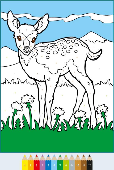 Immagine prodotto Ravensburger CreArt Dipingere con i numeri a partire da 5: animali carini, libro da colorare, 48 motivi