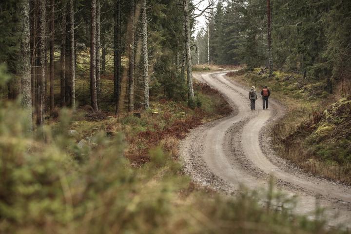 Produktbild GriSport strapazierfähiger Jagdstiefel "Ortler" (47)