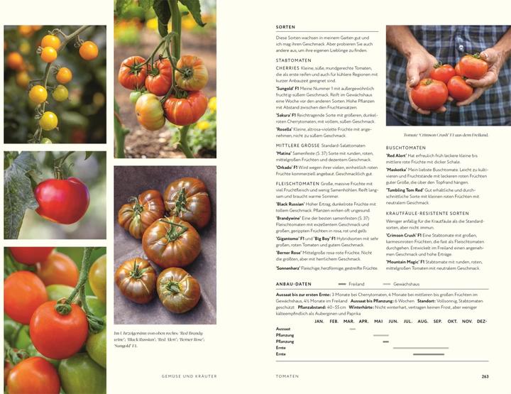 Actual product image No Dig - Gärtnern ohne Umgraben (German, Charles Dowding, 2023)