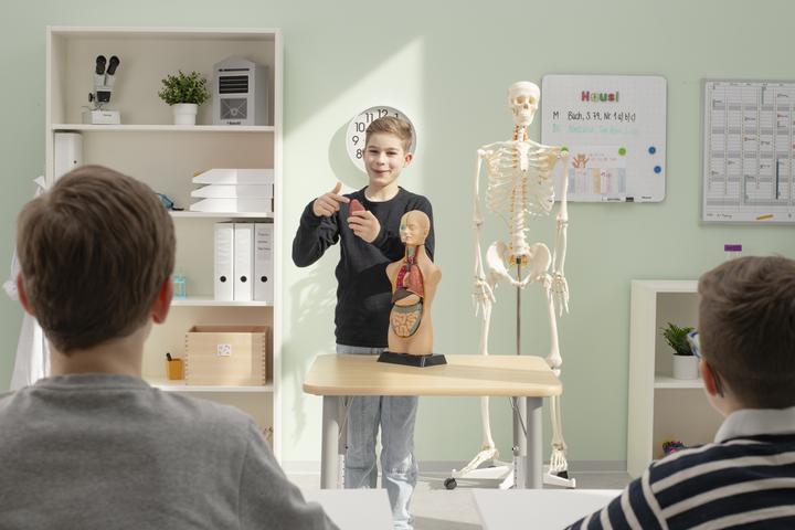 Produktbild Betzold Torso