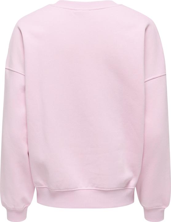 Immagine prodotto JdY Jdymesa L/S O-Neck Emb Sweat Jrs Noos (S)
