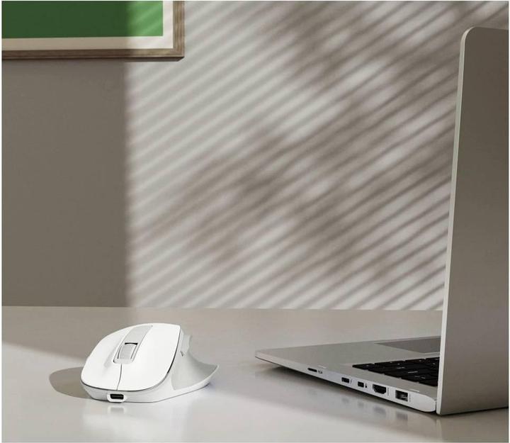 Actual product image Hama WM-500 (Wireless)