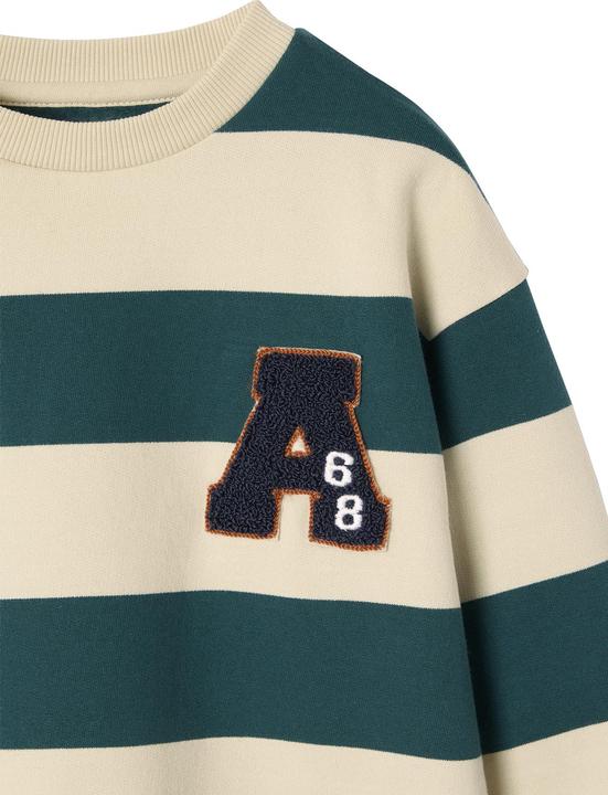 Produktbild Vertbaudet Jungen Sweatshirt mit Frottee-Patch (158, 164)