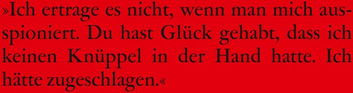 Produktbild Der Eindringling (Deutsch, Raul Zelik, 2012)