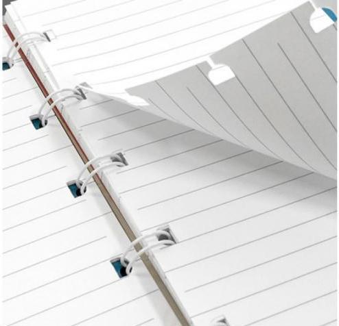 Produktbild Filofax Notizbuch Notebook The Original Raspberry (A4, Liniert, Harter Einband)