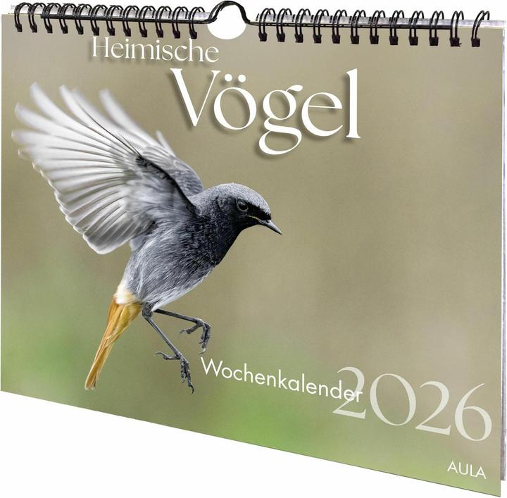 Produktbild Heimische Vögel 2026