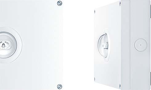 Produktbild Zumtobel Lighting Sicherheitsleuchte 42185786 (309 lm)