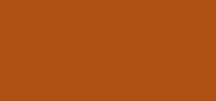 Actual product image Clarins EVERLASTING FOUNDATION 110W - MOCHA 30ml (119W, Mocha)