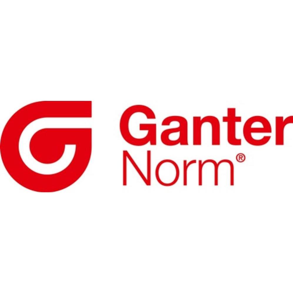 Thumbnail - Ganter, Möbelgriff, Handrad GN 950 b 15 mm d1 100 mm d2 10 mm