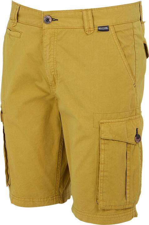 Actual product image Regatta Mens Shorebay II Cargo Shorts (Frequency band 38 (2600 MHz))