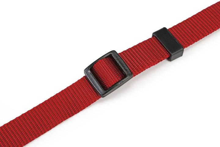 Actual product image Beeztees BZ NYL HALSB VARIABLE 22 35X10 (Dog, General)