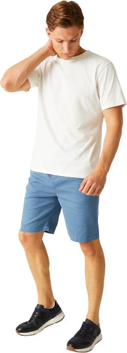 Actual product image Regatta Mens Aldan Chino Shorts (30)