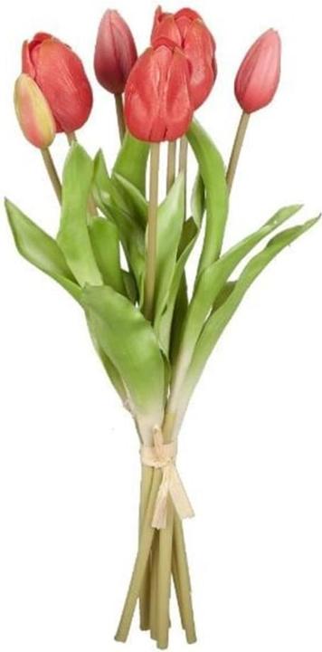 Dekomat Tulipes Royla Set (38 cm)
