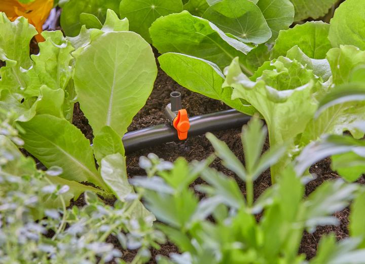 Actual product image Gardena Micro-Drip System (Drip hose + drip tube)