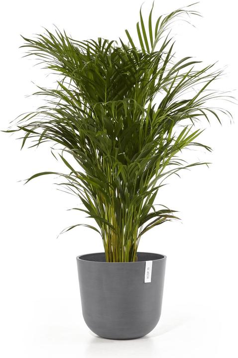 Produktbild Ecopots Oslo (35.35 cm)