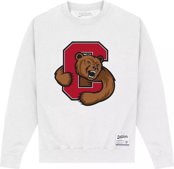 Immagine prodotto Felpa Orso Adulto Unisex (5XL)