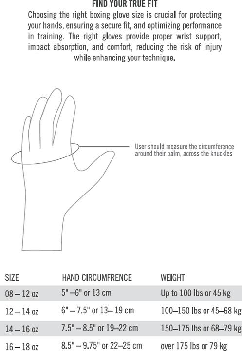 Produktbild Everlast Prospect 2