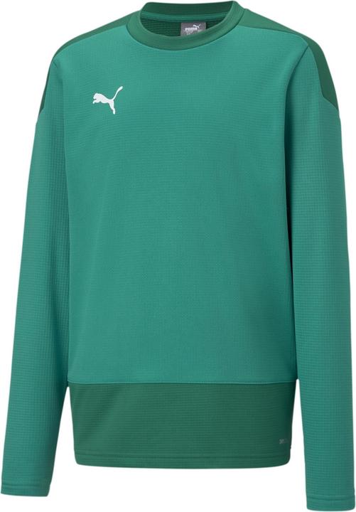 Puma TeamGOAL 23 Training Sweat Kids (128)