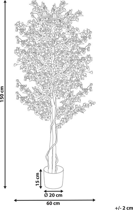 Immagine prodotto Beliani Sakura (150 cm)