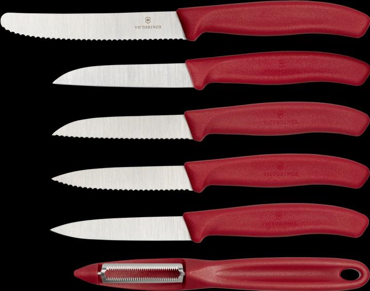 Actual product image Victorinox Swiss Classic