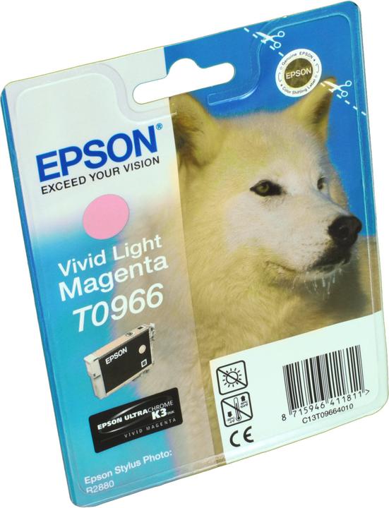 Actual product image Epson T0966 (LM)