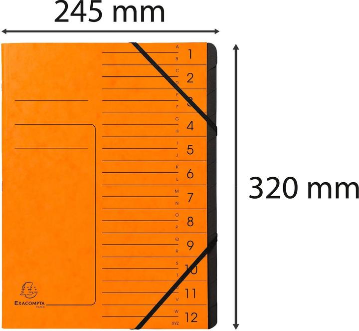 Actual product image Exacompta Stapled file folders (A4, 1 x)