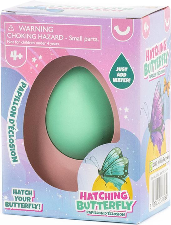 Actual product image Sombo Egg butterfly display