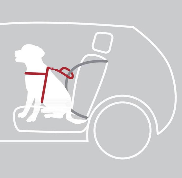 Actual product image Trixie Dog Protect Car Harness (Dog, Reflectors)