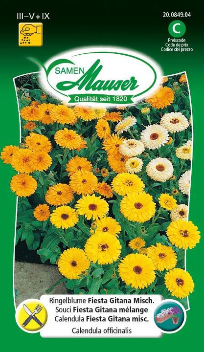 Actual product image Samen Mauser Marigold Fiesta Gitana Mix. (Plant seeds)
